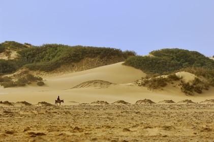 Egypte, Basse-Egypte, désert libyque, oasis de Bahariya (Bahareyya)