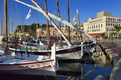 France, Var, Sanary-sur-Mer, traditional fishing boats called pointus in the port, Hotel de la Tour that wraps the Romanesque 13th century tower in the background, in the foreground Le Goeland, the only lamparo boat in France