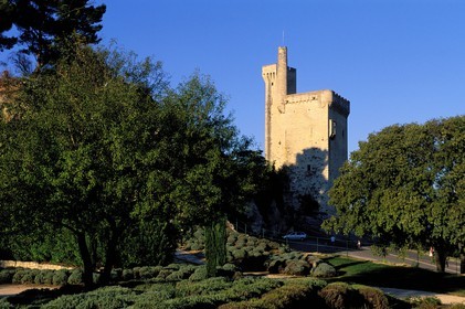 France, Gard (30), Villeneuve-lès-Avignon, la tour Philippe Le Bel