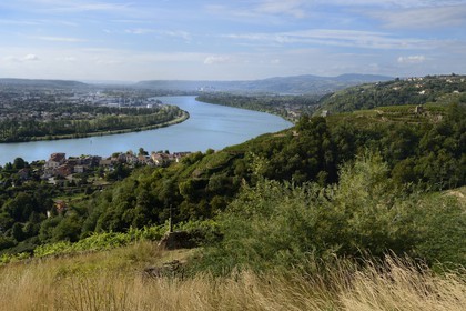 France, Rhone, view over the Rhone river from the heights of the village of Condrieu and its vineyard