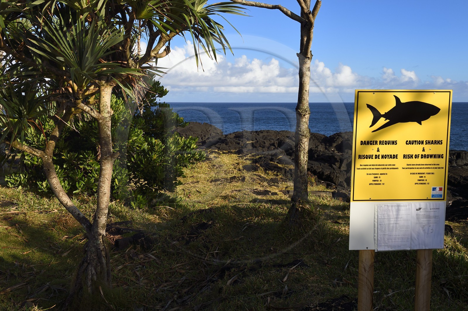 France, Ile de la Reunion, Sainte-Philippe, la côte sud sauvage au Baril, panneau signalant la présence dangereuse de requins