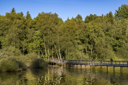 France, Nièvre (58), Parc naturel régional du Morvan, Moux-en-Morvan, lac des Settons, la passerelle de Chevigny au sud du lac au niveau de l'embouchure de la rivière Cure, possède un observatoire ornithologique