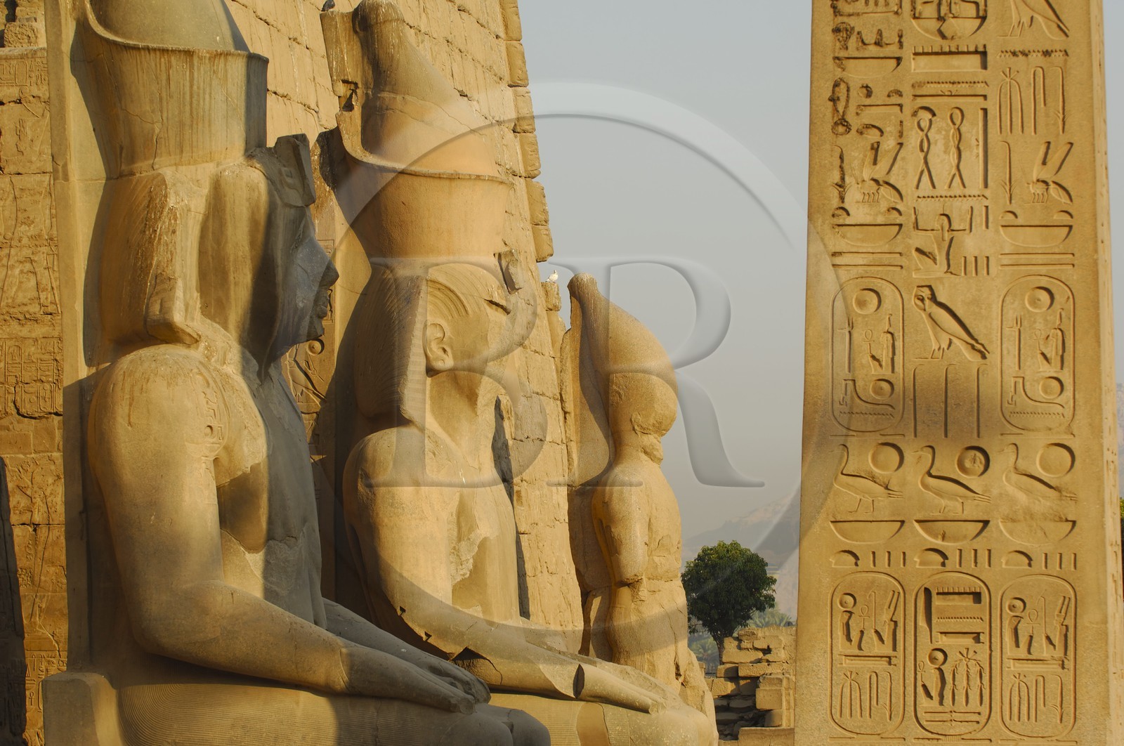 Egypte, Haute Egypte, vallée du Nil, temple de Louxor classé Patrimoine Mondial de l'UNESCO et détail de l'obélisque