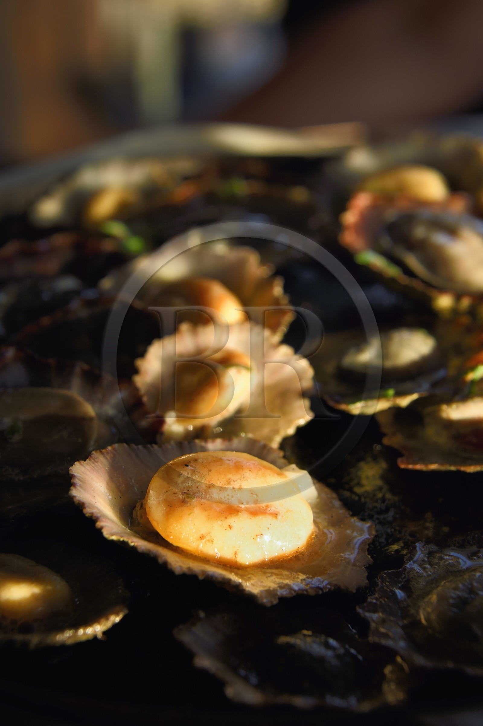 Portugal, Ile de Madère, le village de pêcheurs de Camara de Lobos, coquillages frits appelés patelles (Patella vulgata Linnaeus), berniques cuisinées au beurre et à l'ail