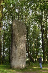 France, Morbihan, Moustoir-Ac, Kermarquer la Lande Menhir
