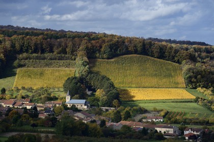 France, Meuse, Lorraine Regional Park, Cotes de Meuse, the village of Vieville-sous-les-Cotes at the foot of a vineyard