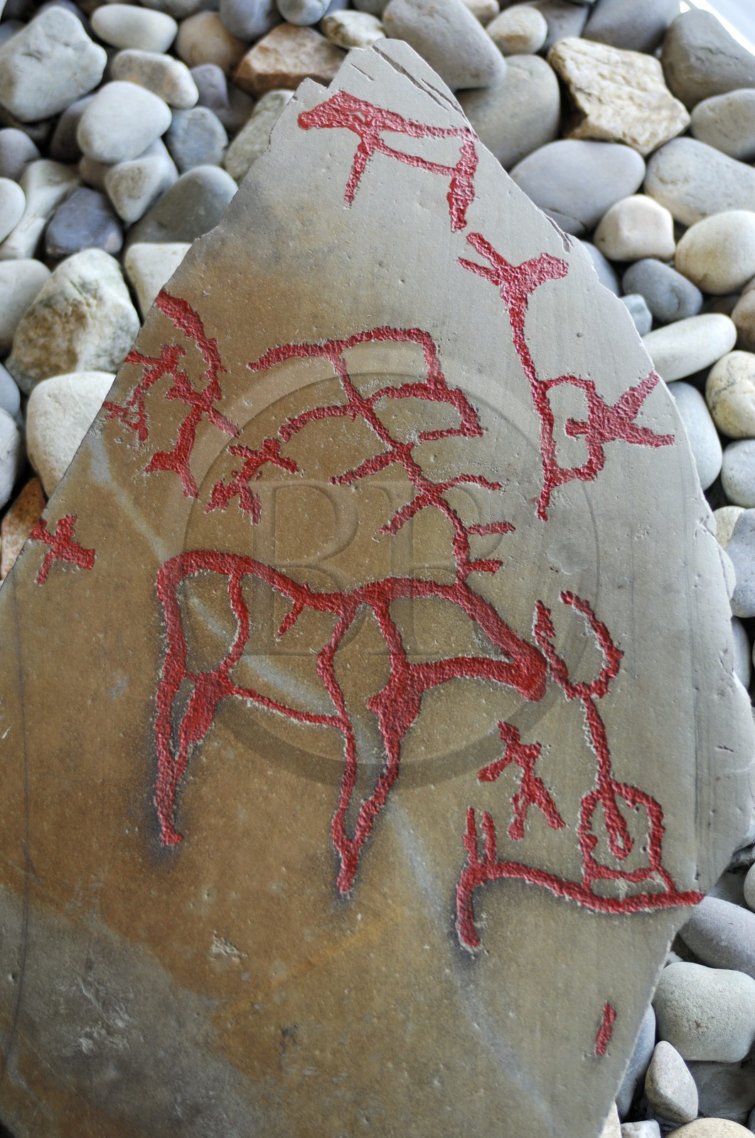 Norvège, Laponie, région du Finnmark, Alta, site des gravures rupestres, classé Patrimoine Mondial de l' UNESCO