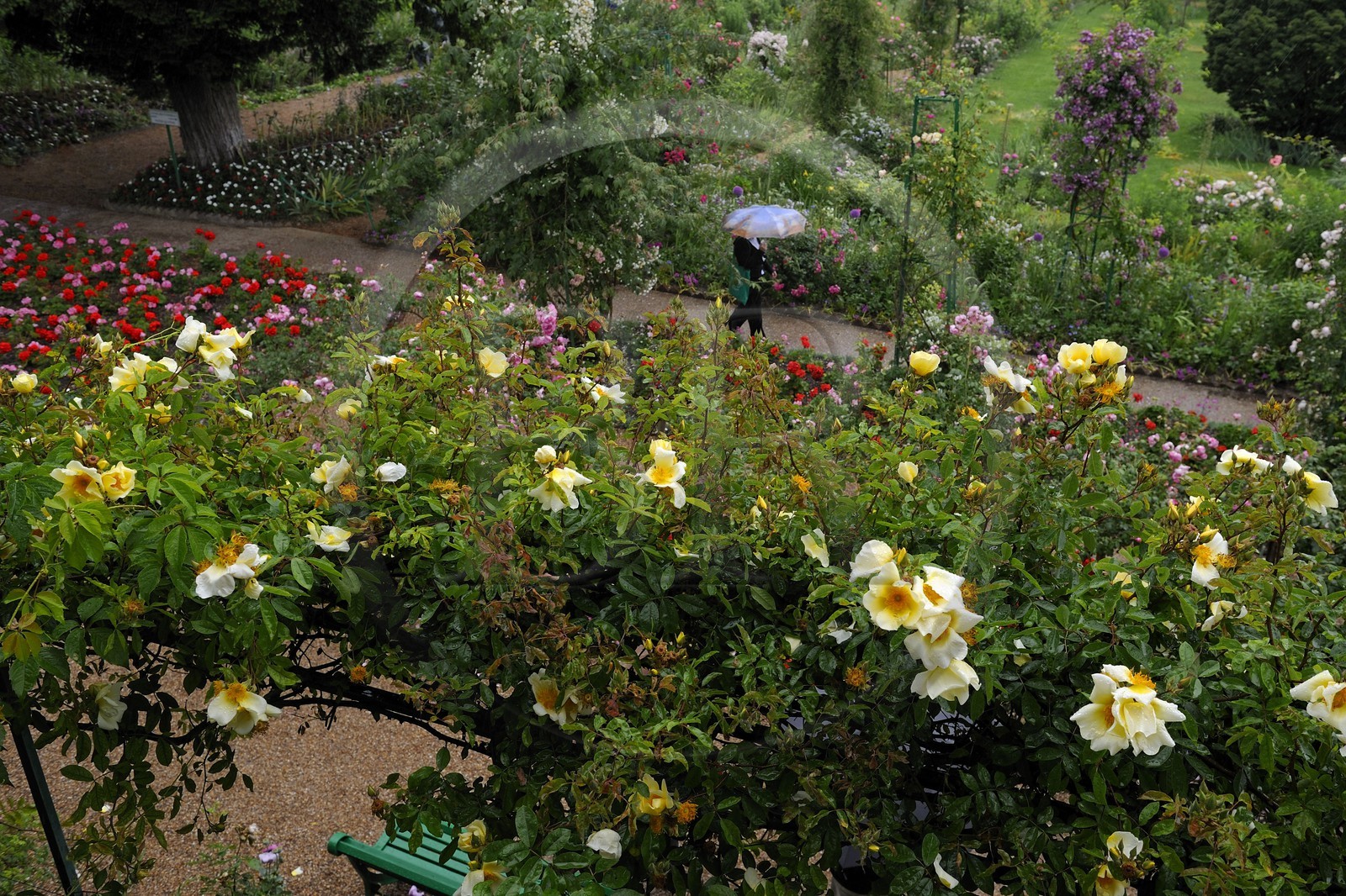 France, Eure (27), Giverny, le jardin de Claude Monet