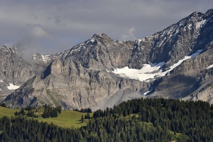 Switzerland, Canton of Vaud, Villars-sur-Ollon, panorama of the  massif of Argentine overlooking Solalex