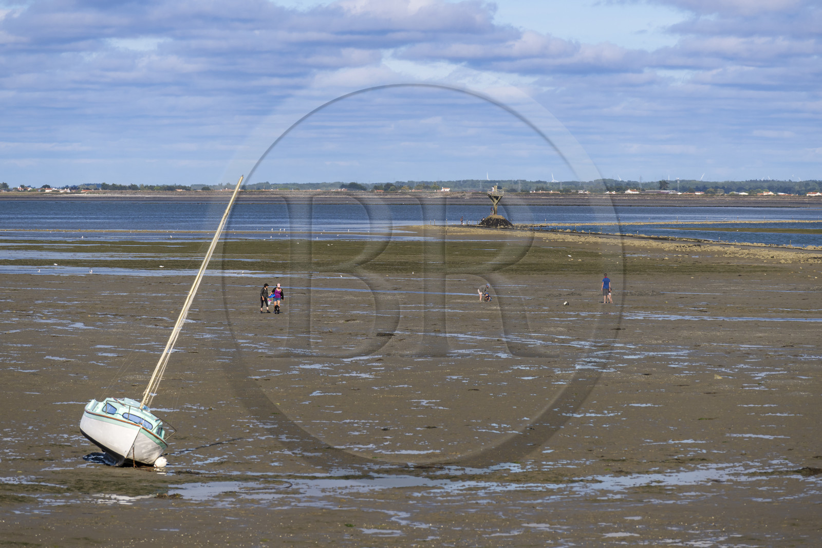 France, Vendee, Noirmoutier island, Barbatre, gathering seafood by hand on the foreshore along the Passage du Gois, submersible causeway that connects the island to the mainland at low tide