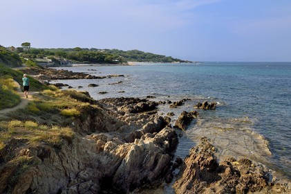 France, Var (83), Saint-Tropez, la côte vers la plage de Capon
