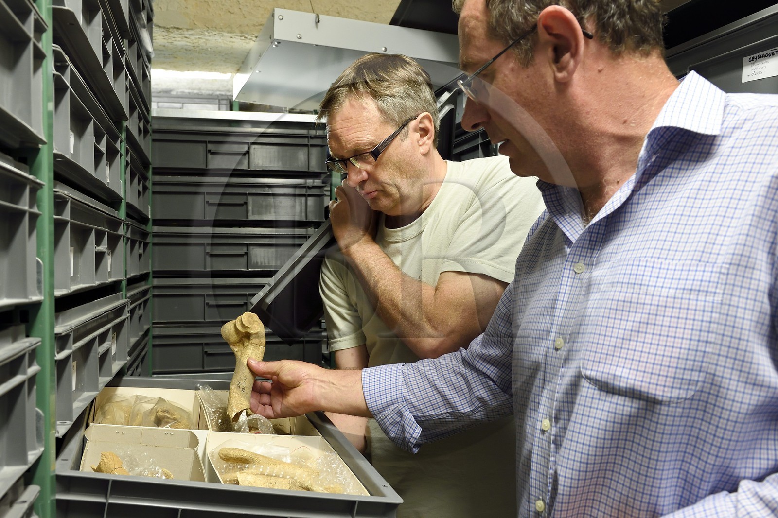 France, Dordogne (24), Périgord Noir, vallée de la Vézère, Les Eyzies-de-Tayac-Sireuil, site classé Patrimoine Mondial de l'UNESCO, Musée National de la Préhistoire, les réserves, Stephane Madelaine (ingénieur des services culturels chargé des collections de faunes) et le conservateur Alain Turq qui lui présente un os d'environ 1 200 000 ans provenant du site de Ceyssaguet
