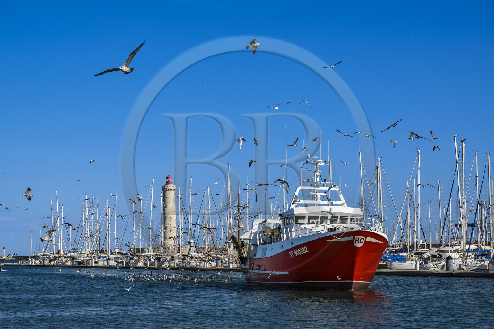 France, Hérault (34), Sète, retour des chalutiers de leur journée de pêche suivis de leur cortège de gabians (goélands) et le phare du mole Saint-Louis en arrière-plan