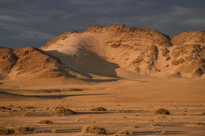 Namibie, région de Hardap, désert du Namib à l'Est du parc national Namib Naukluft vers Sossusvlei