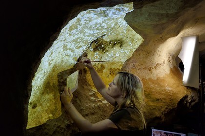 France, Dordogne, Montignac, the Atelier des Fac-Similés du Périgord (Perigord's Facsimile Workshop AFSP) specialised in mineral reproduction of prehistoric painted walls using “stone veil” patented technique and in charge of the Lascaux cave’s walls faithfull reconstitution, reproductions of the paintings by the painter-copyist Beth, compulsory mention Atelier des Fac-Similés du Perigord