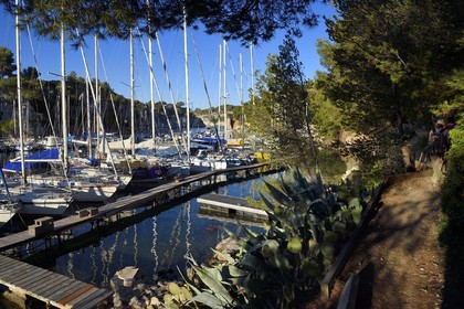 France, Bouches du Rhone, Cassis, National Park of the Calanques, Calanque de Port Miou (cove), the marina (request for authorization necessary before publication)