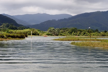 Spain, Basque Country, Biscay Province, Gernika-Lumo region, Urdaibai estuary Biosphere Reserve, kayaking on the estuary of the Oka River