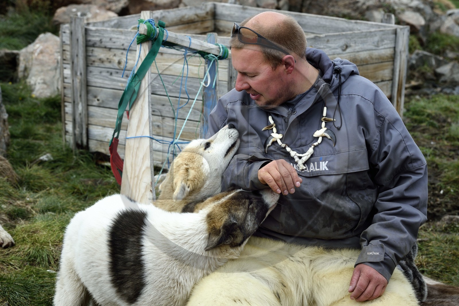 Groenland, cote ouest, Uummannaq, l'éleveur de chiens de traineau Malti Suulutsun portant un pantalon en peau d'ours