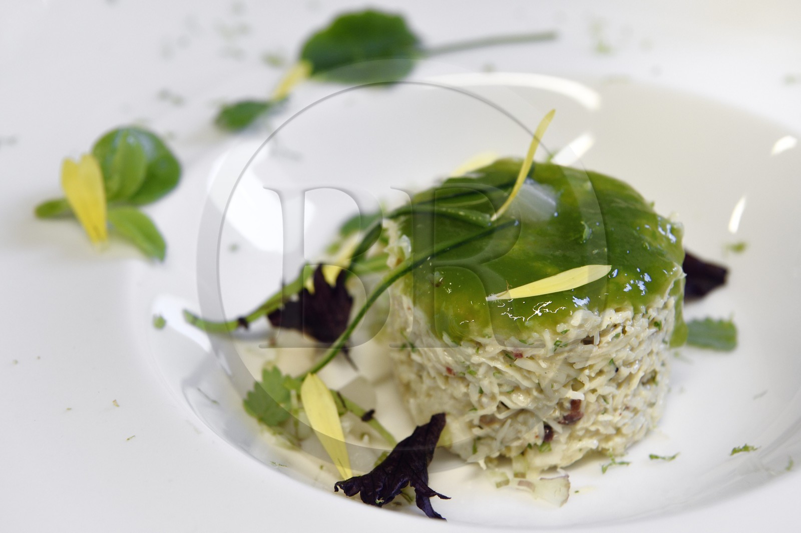 France, Pyrénées-Atlantiques (64), Pays-Basque, Biarritz, restaurant les Rosiers, chair de tourteau, curry coriandre, caramel de célerie et gelée de comcombre