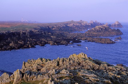 France, Finistère (29), île d'Ouessant, Penn Ar Ru Meur et phare du Créac'h