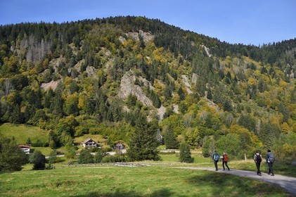 France, Vosges, Le Valtin, hike in the Valtin valley in the upper Meurthe valley