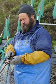 France, Seine-Maritime, Veules-les-Roses, fisherman retrieving the catch of the day of the nets