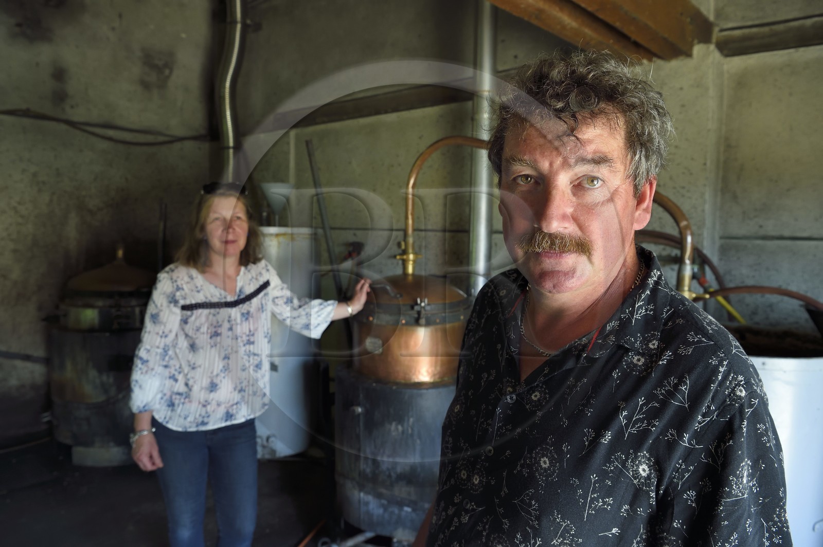 France, Meuse (55), Parc régional de Lorraine, Cotes de Meuse, Combres-sous-les-cotes, Domaine de Muzy, distillation d'eau-de-vie de mirabelle chez Véronique et Jean-Marc Liénard