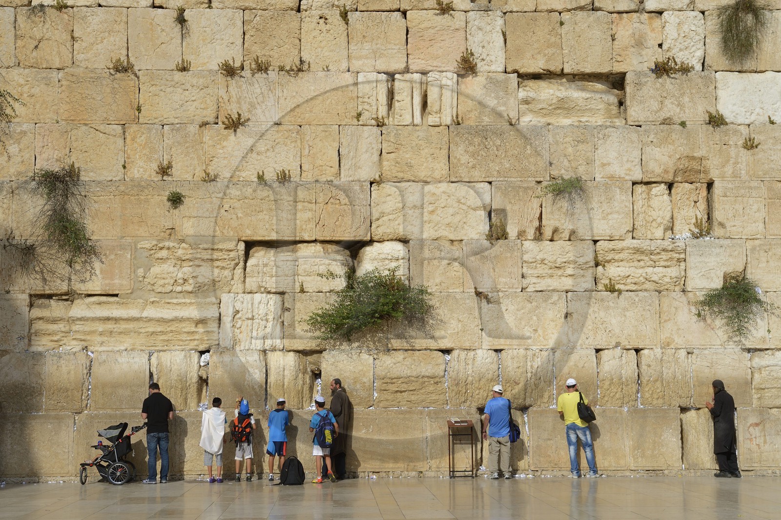 Israel, Jérusalem, ville sainte, vieille-ville classée Patrimoine Mondial de l'UNESCO, Mur des Lamentations ou mur occidental faisant partie des murs de soutènement de l'esplanade du Temple construite par Hérode Ier le Grand