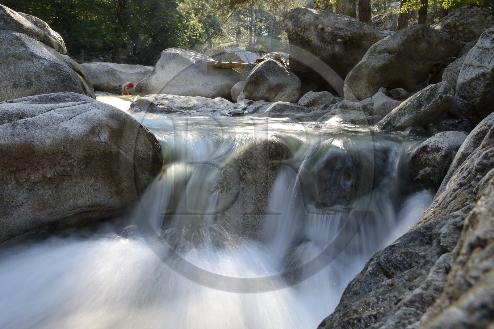 France, Haute-Corse (2B), Corte, Vallée de la Restonica