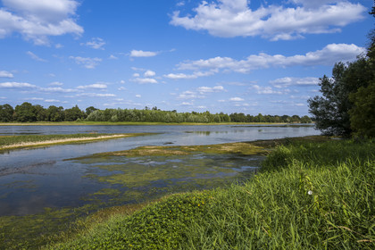 France, Maine-et-Loire (49), vallée de la Loire classée au Patrimoine Mondial par l'UNESCO, Saumur vers Saint-Hilaire, bancs de sable formant des îles sur la Loire