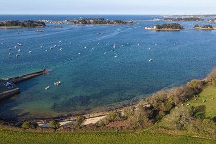 France, Côtes-d'Armor (22), Côte d'Ajoncs, Penvénan, Port Blanc, l'Anse de Pellinec avec le petit port de Port Blanc et chevaux au paturage en bordure de mer, les Iles de Saint Gildas et du Milieu en arrière plan (vue aérienne)