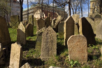 République Tchèque, Prague, centre historique classé Patrimoine Mondial de l'UNESCO, quartier juif de Josefov, cimetière juif et la synagogue Pinkas en arrière plan