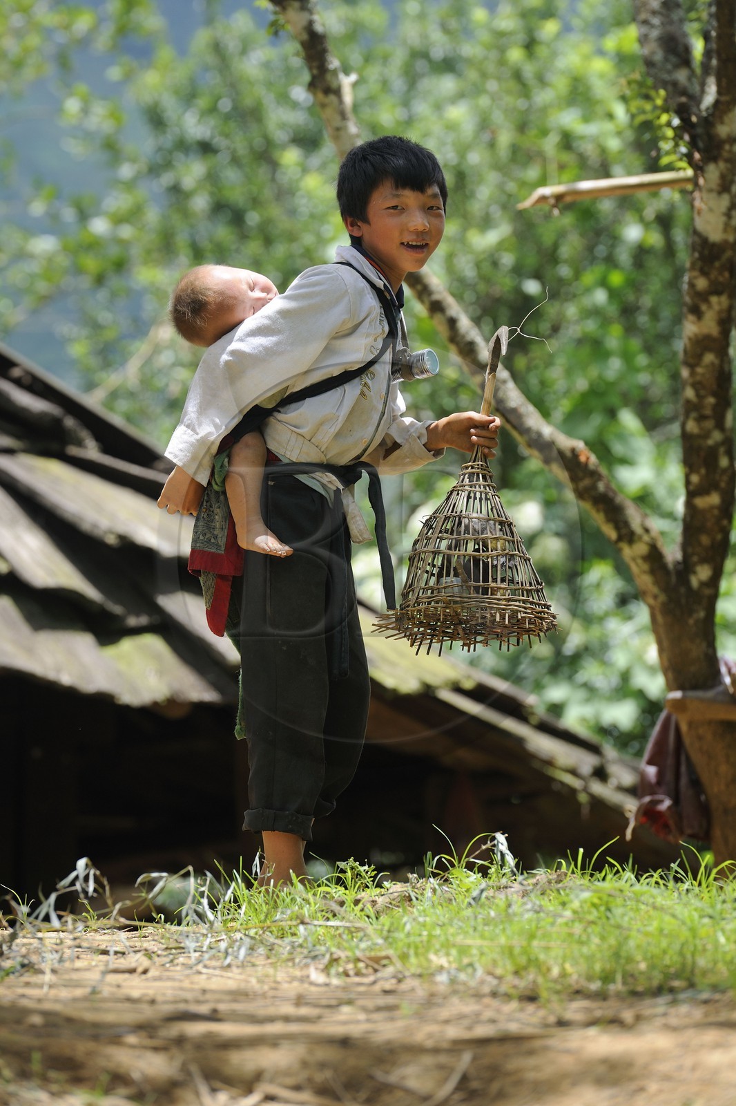 Vietnam, province de Lao Cai, région de Sapa, vallée de Ta Phin, jeune garçon de la minorité Hmong Noir tenant une cage à oiseau
