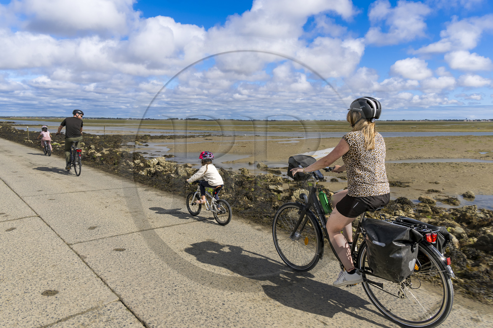France, Vendee, Noirmoutier island, Barbatre, cyclists on the Passage du Gois, submersible causeway that connects the island to the mainland at low tide