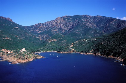 France, Corse du Sud, Girolata bay (aerial view)