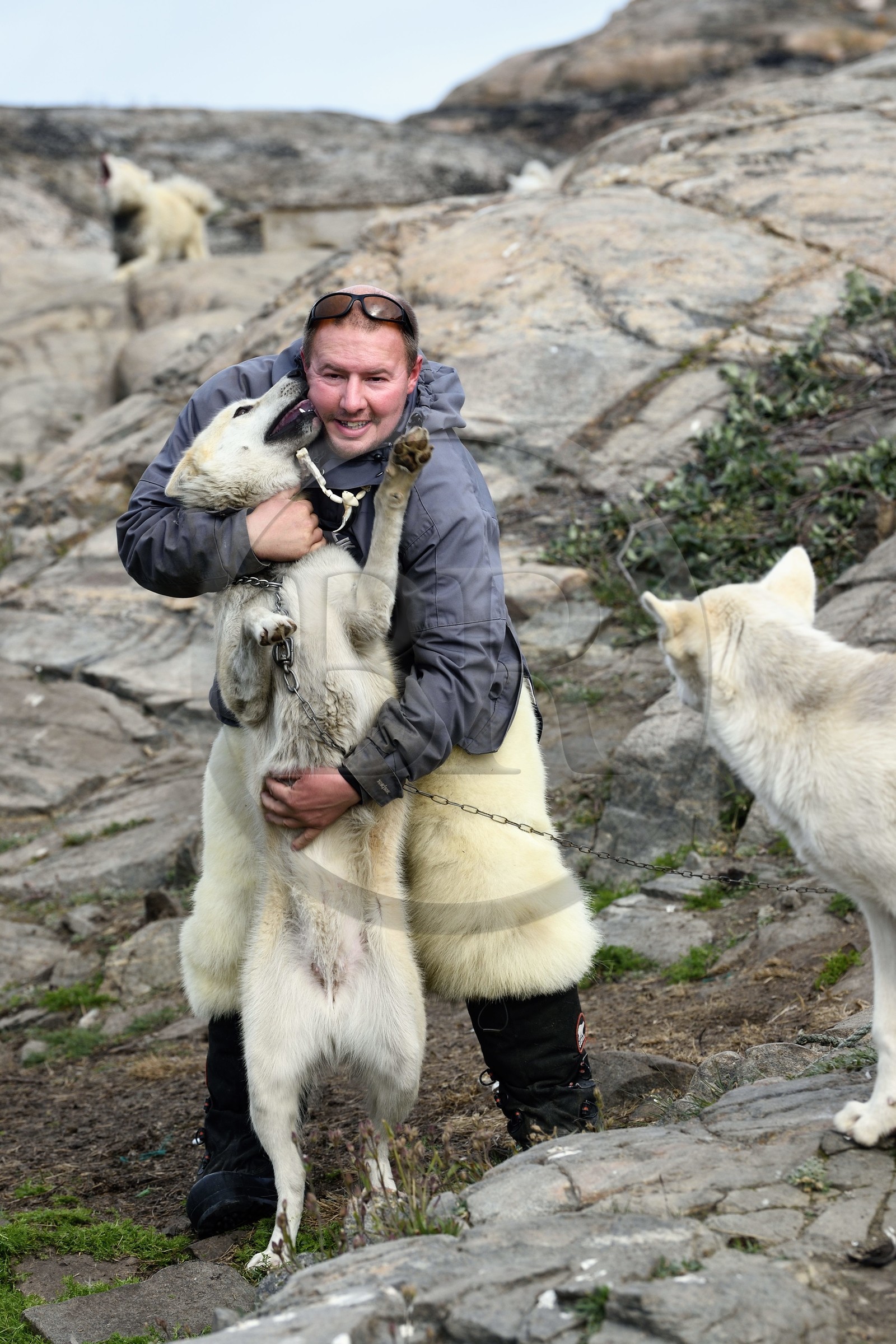 Groenland, cote ouest, Uummannaq, l'éleveur de chiens de traineau Malti Suulutsun portant un pantalon en peau d'ours