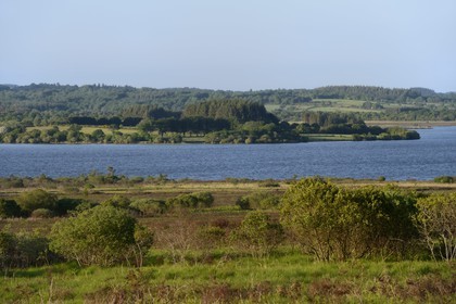 France, Finistere, Parc Naturel Regional d'Armorique (Armorica Regional Natural Park), Monts d'Arree, Brasparts, the Saint-Michel reservoir and the marsh Yeun-Elez with the Youdig (one of the hell gates)