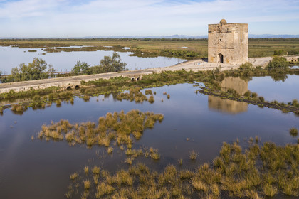 France, Aigues-Mortes, Saint-Laurent-d'Aigouze, la Tour Carbonnière dans la Petite Camargue (vue aérienne) France, Aigues-Mortes, Saint-Laurent-d'Aigouze, the Carbonnière Tower in the Petite Camargue (aerial view)