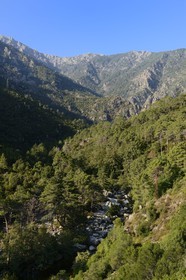 France, Haute-Corse (2B), région du Niolu (Niolo), le défilé rocheux de la Scala di Santa Regina et la rivière de Golo
