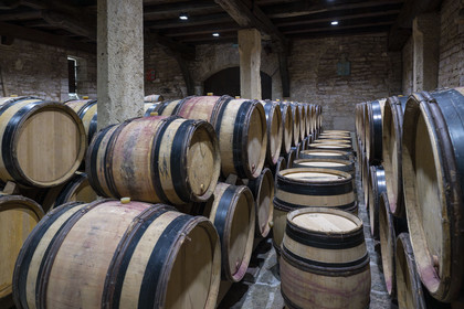 France, Cote d'Or, cultural Landscape of the climates of Burgundy listed as World Heritage by UNESCO, Route des Grands Crus (road of Vintage Wines), vineyard of the Côte de Nuits, Gevrey Chambertin, Domaine Dugat, the former Tithe Cellar of the Bishops of Langres where the empty barrels are stored