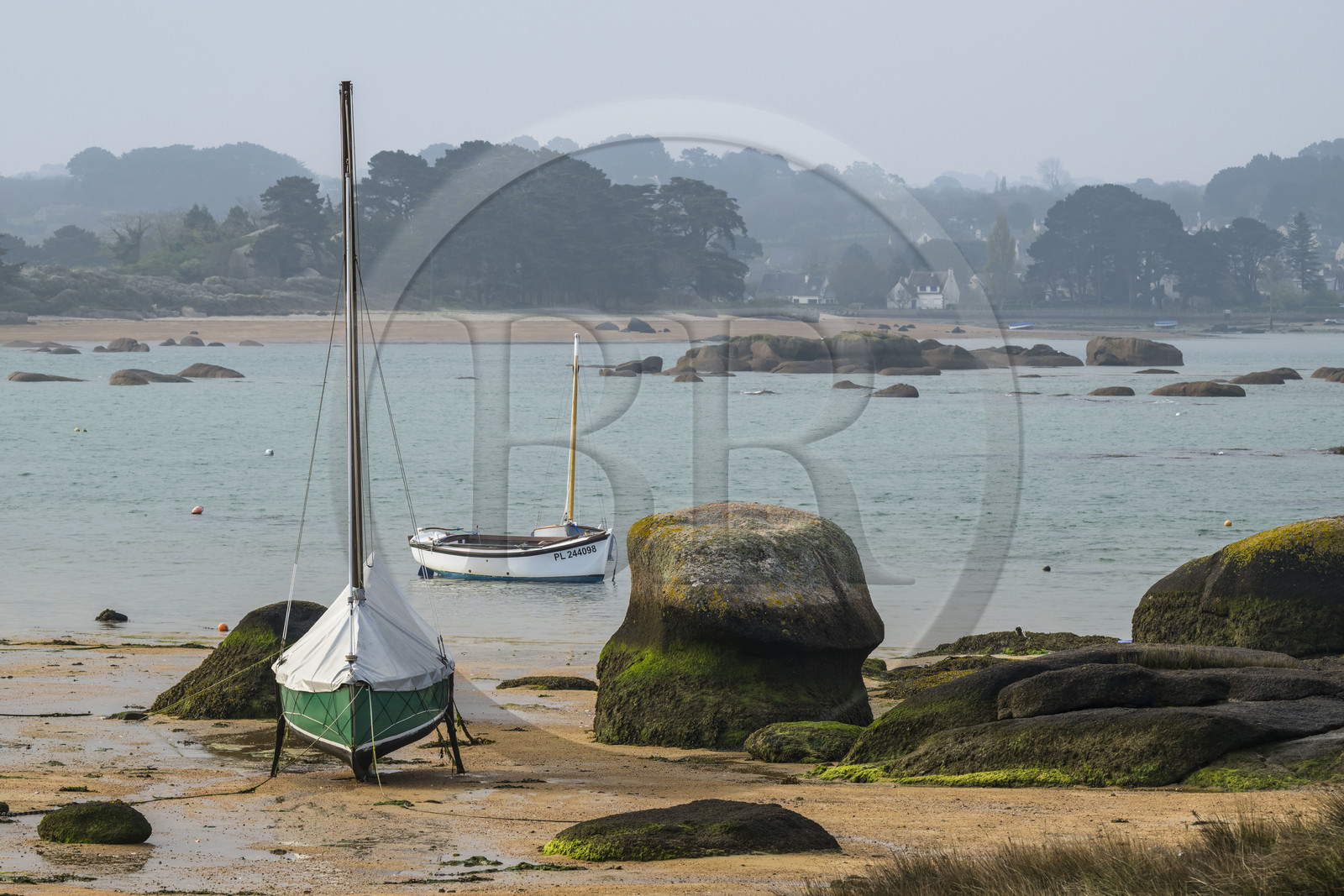 France, Côtes-d'Armor (22), Côte de Granit Rose, Trégastel, Ile Renote, la plage à marée basse