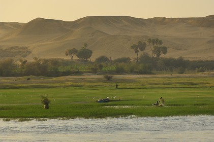 Egypt, Upper Egypt, Nile Valley, fishing barque on the Nile river between Edfou and Kom Ombo