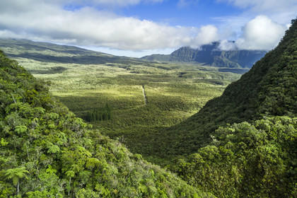 France, Ile de la Reunion, Parc National de la Réunion classé Patrimoine Mondial de l'UNESCO, La Plaine des Palmistes, la forêt de Bébour (vue aérienne)