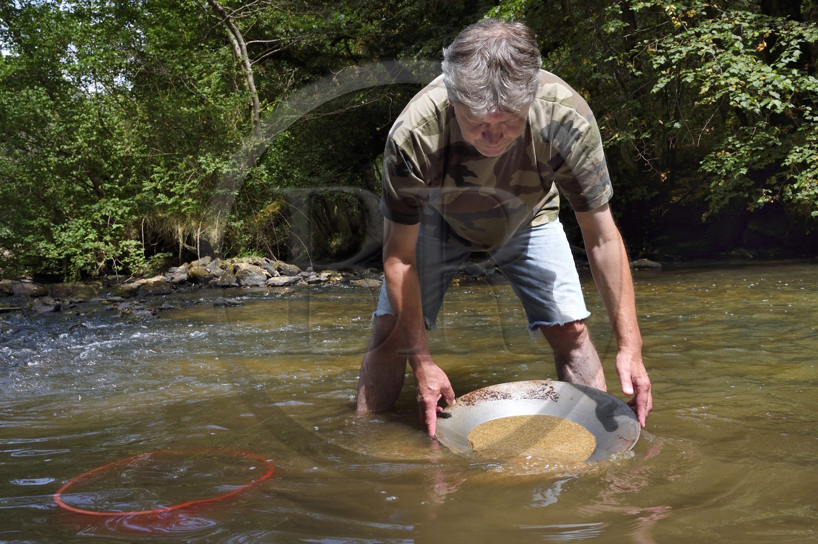 France, Dordogne, district of Jumilhac-le-Grand, gold panning in the Isle river toward Tindeix, the gold panner Philippe Roubinet