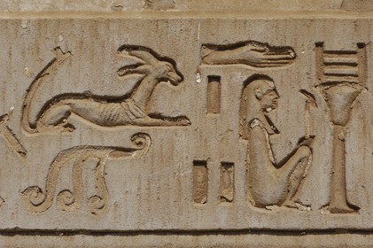 Egypt, Upper Egypt, Nile Valley, Kom Ombo Temple dedicated to Sobek, the god with a crocodile's head, hieroglyphics