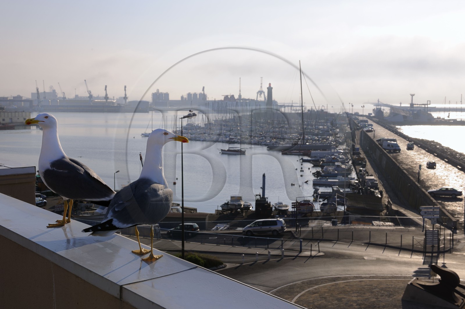 France, Hérault (34), Sète, le Môle Saint-Louis sur le port