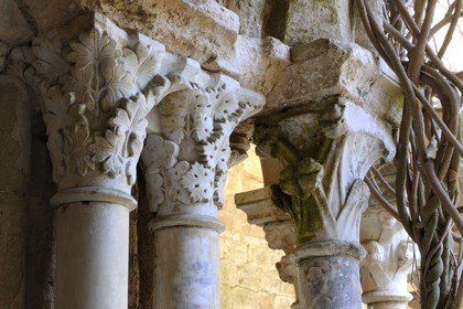France, Aude, Fonfroide cistercian Abbey, the cloister, capital with vegetal motifs
