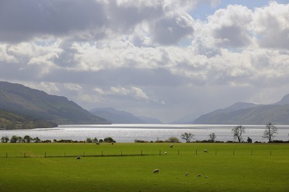 Royaume-Uni, Ecosse, région des Highlands, le Loch Ness