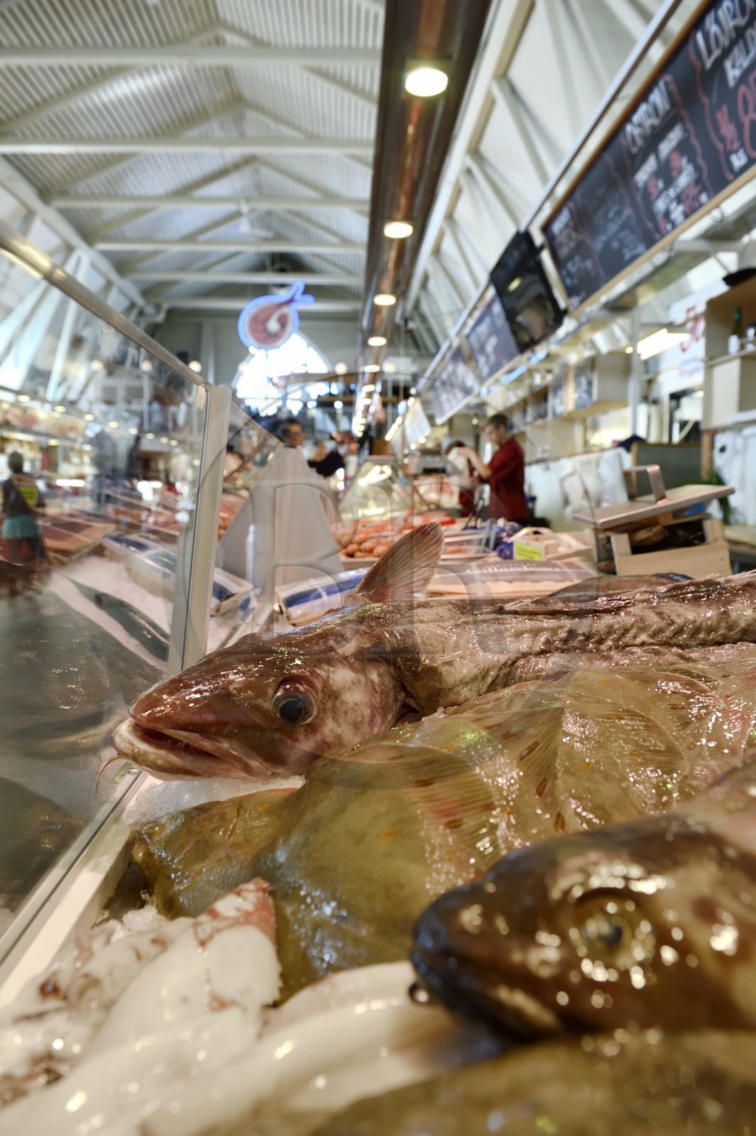 Suède, Västra Götaland, Göteborg (Gothenburg), l'Eglise du poisson (marché de poisson couvert) Feskekörka