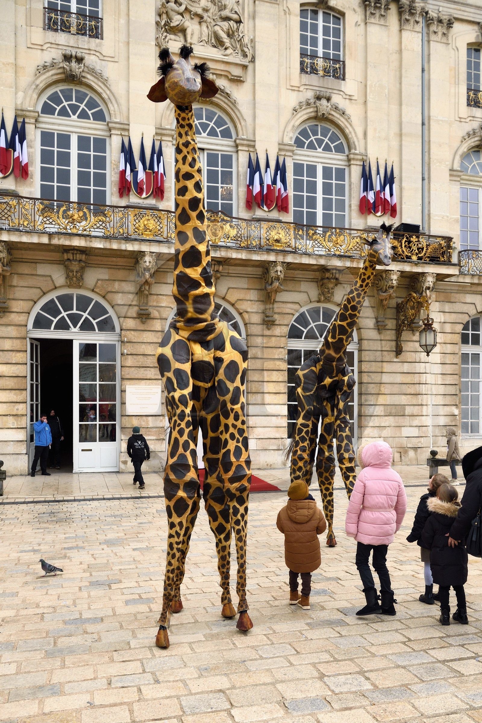 France, Meurthe-et-Moselle (54), Nancy, place Stanislas (ancienne Place Royale) lors de la fête de la Saint-Nicolas, classée Patrimoine Mondial de l'UNESCO, girafes de la compagnie Teatro Pavana